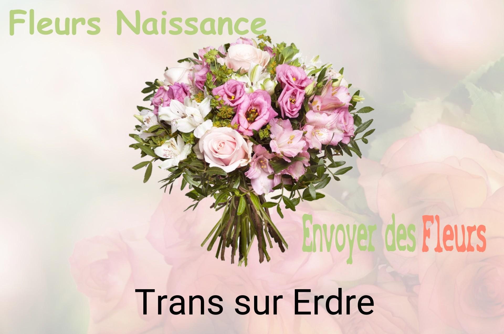 Bouquet de fleurs de naissance livré à Trans-sur-Erdre