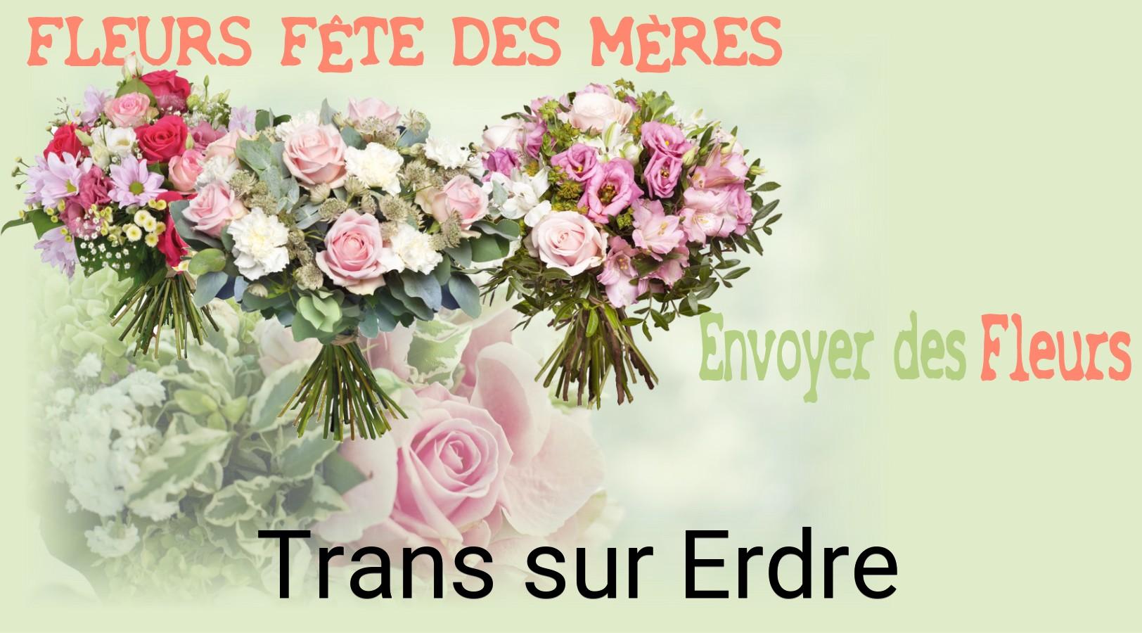 Bouquet de Fête des Mères livré à Trans-sur-Erdre
